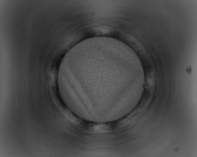 X0000101140468200807181259