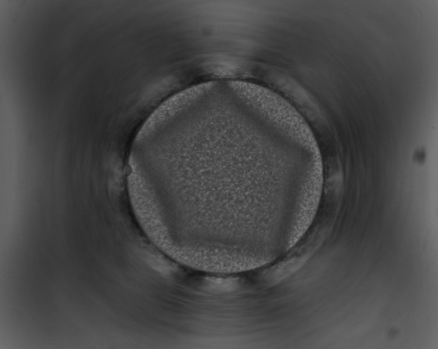 X0000101140469200807181259