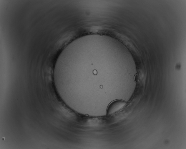 X0000101140470200807181259