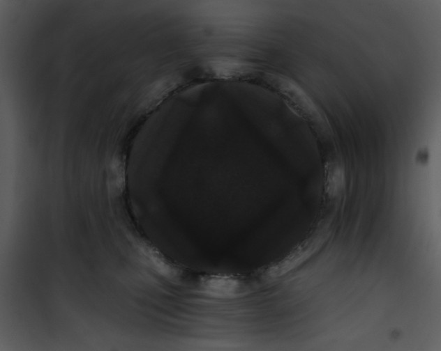 X0000101140471200807181259