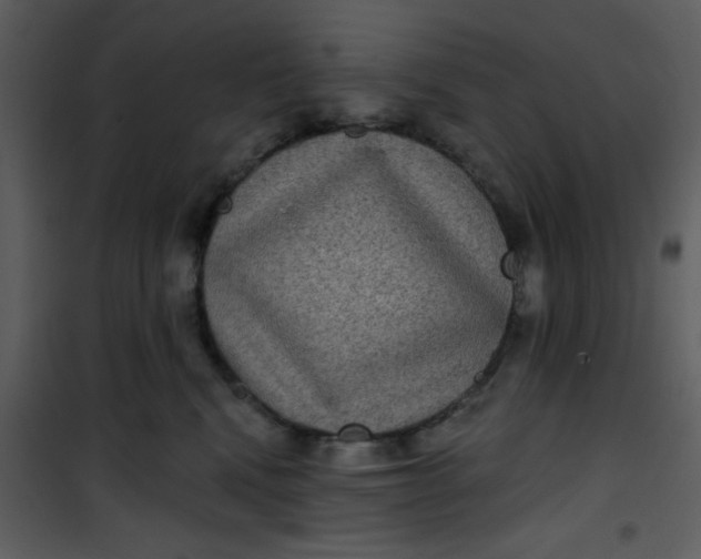 X0000101140472200807181259