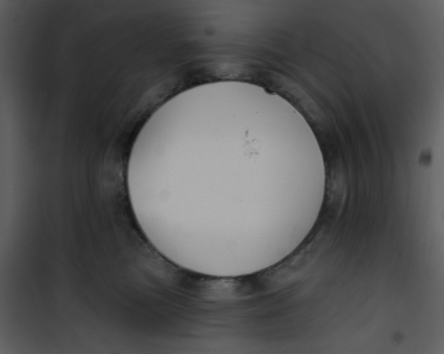 X0000101140473200807181259