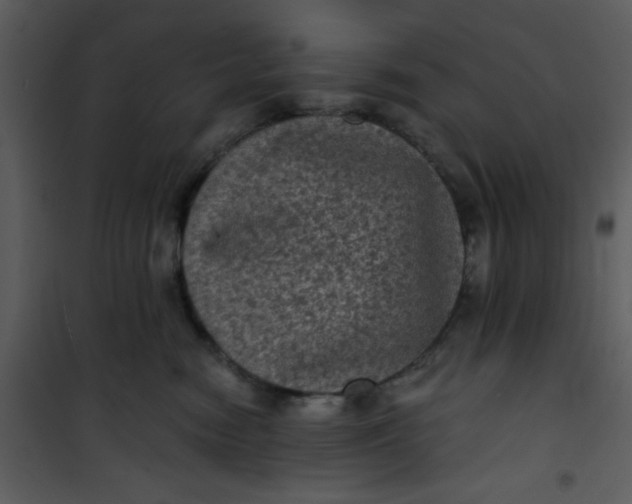 X0000101140474200807181259