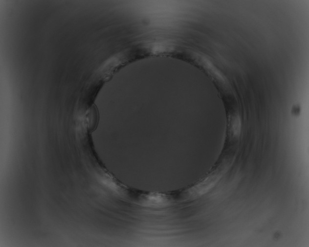 X0000101140475200807181259