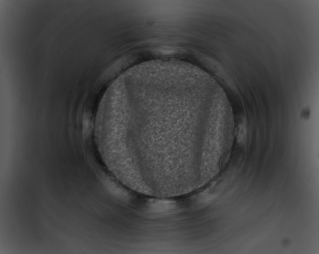 X0000101140476200807181259