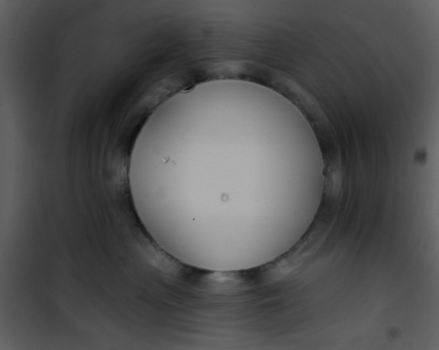 X0000101140477200807181259