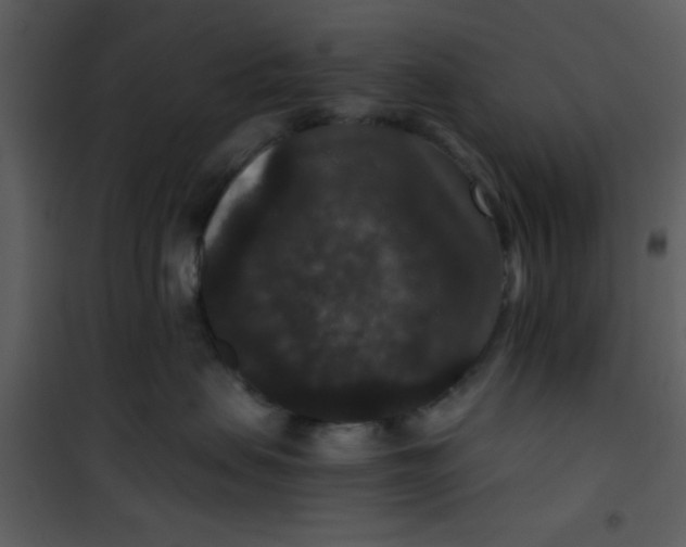 X0000101140479200807181259