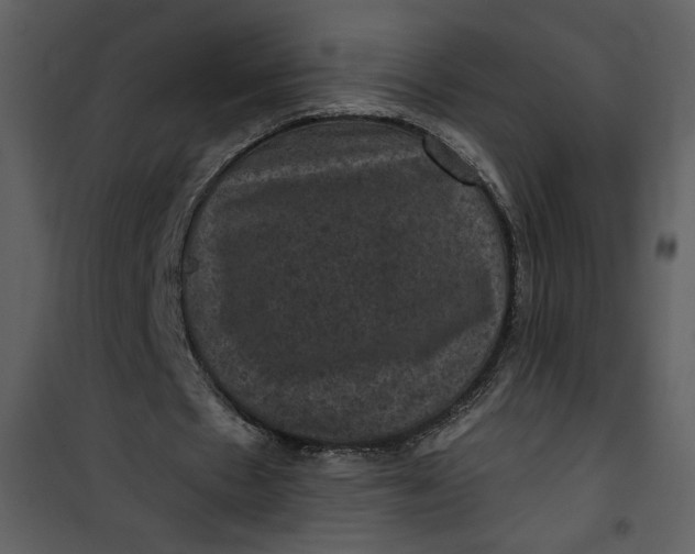 X0000101140481200807181258