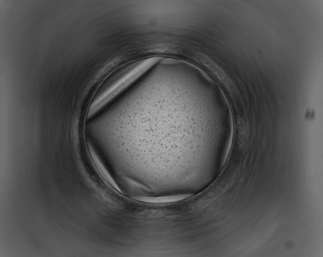 X0000101140482200807181258