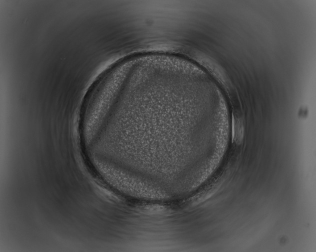 X0000101140483200807181258