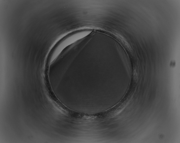 X0000101140484200807181258