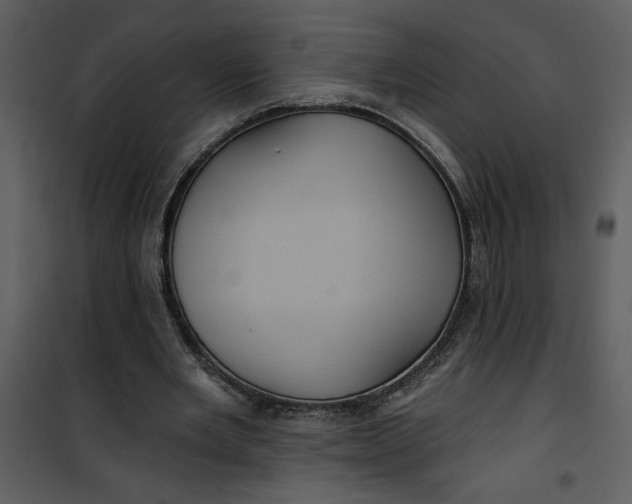 X0000101140485200807181258