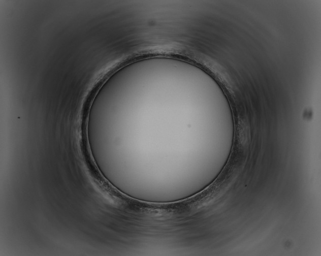 X0000101140486200807181258