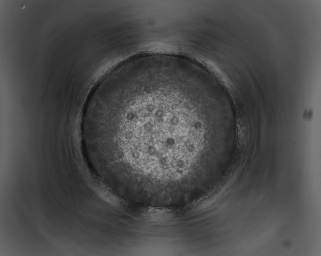 X0000101140487200807181258