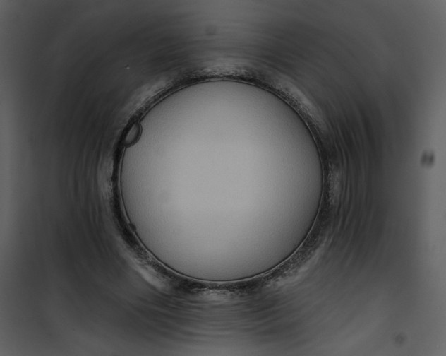 X0000101140490200807181258