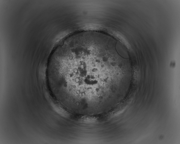 X0000101140491200807181258