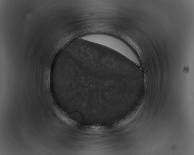 X0000101140493200807181258