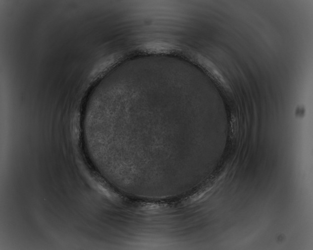 X0000101140494200807181258