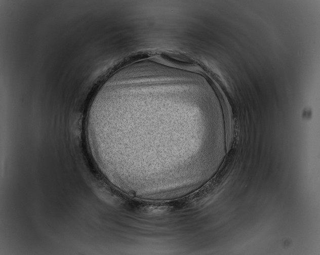 X0000101140495200807181258