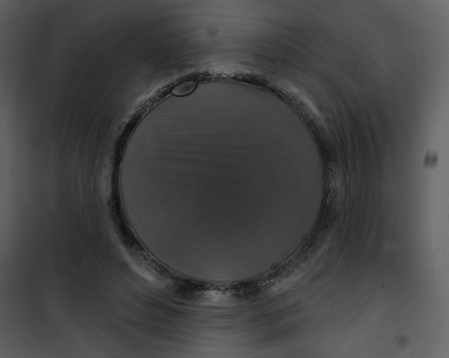 X0000101140496200807181258