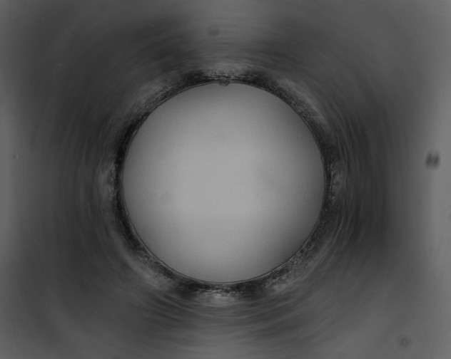 X0000101140498200807181258