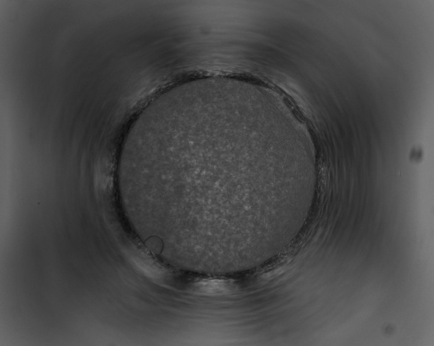 X0000101140499200807181258