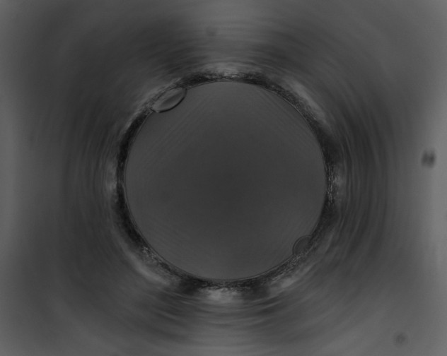 X0000101140500200807181258