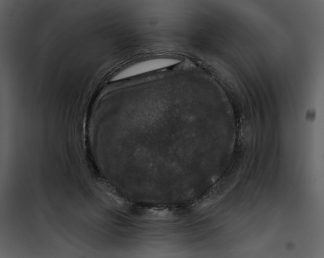 X0000101140502200807181258