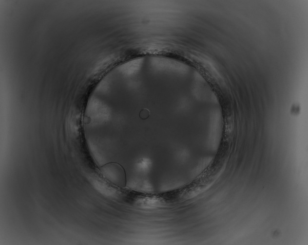 X0000101140503200807181258