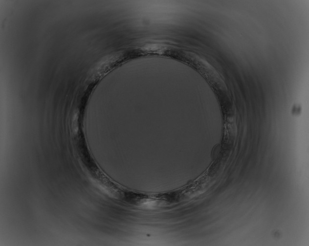 X0000101140504200807181258