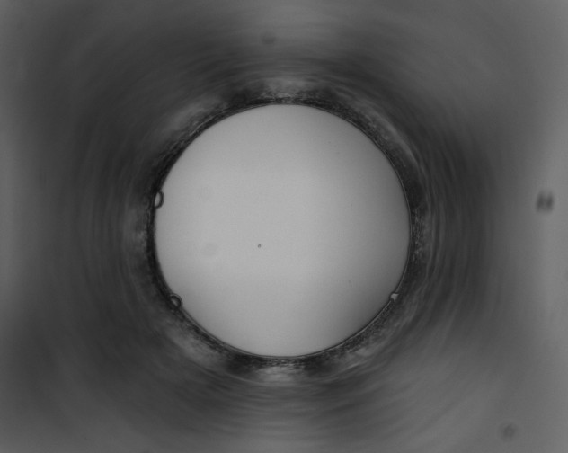 X0000101140505200807181258