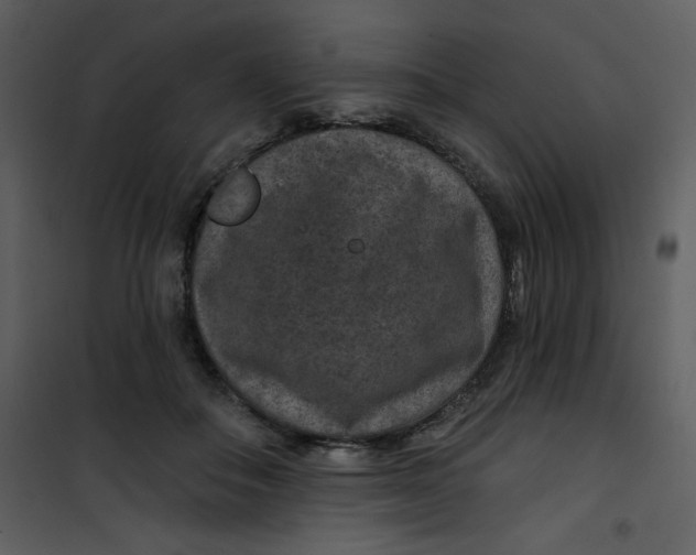 X0000101140506200807181258