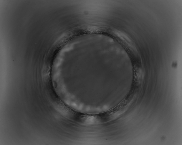 X0000101140507200807181258