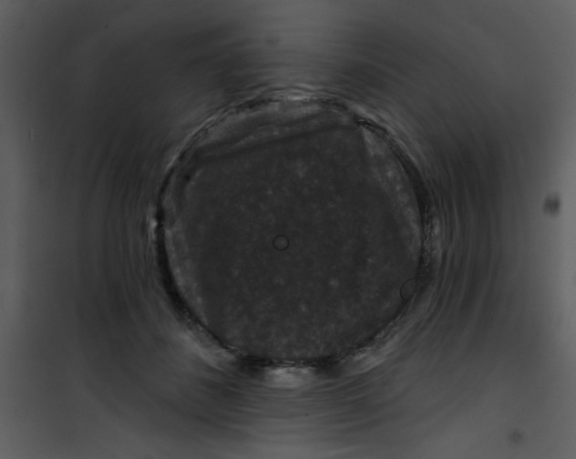 X0000101140508200807181258