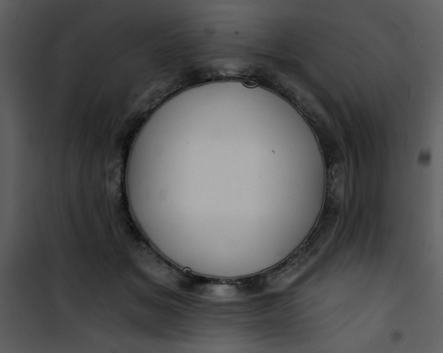 X0000101140509200807181258