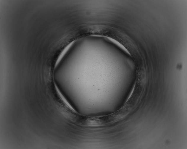 X0000101140510200807181258