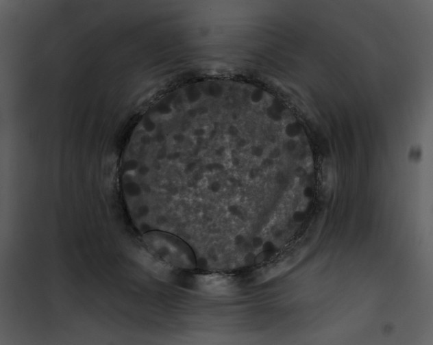 X0000101140511200807181258