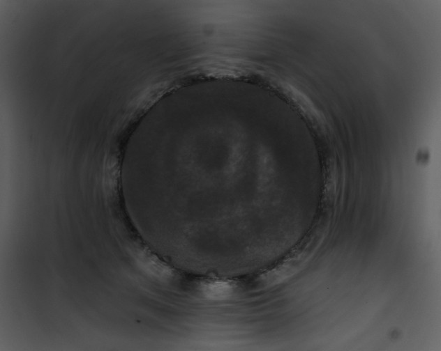 X0000101140513200807181258