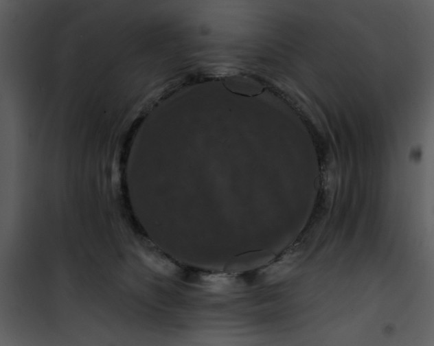 X0000101140516200807181258