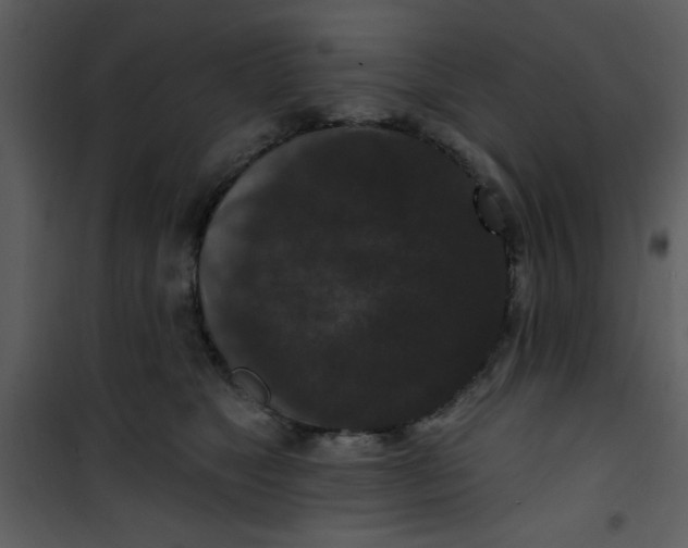 X0000101140517200807181258