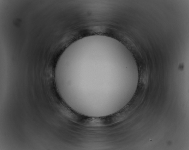 X0000101140518200807181258