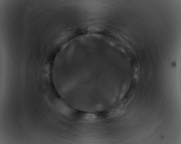 X0000101140519200807181258