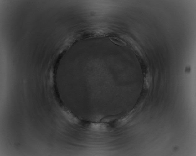 X0000101140520200807181258