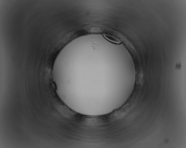 X0000101140521200807181258