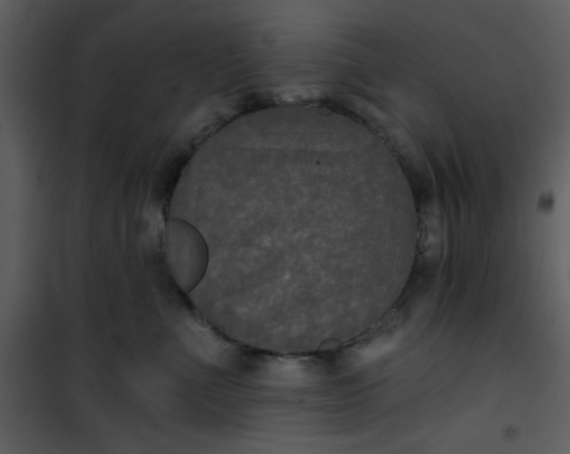 X0000101140523200807181257