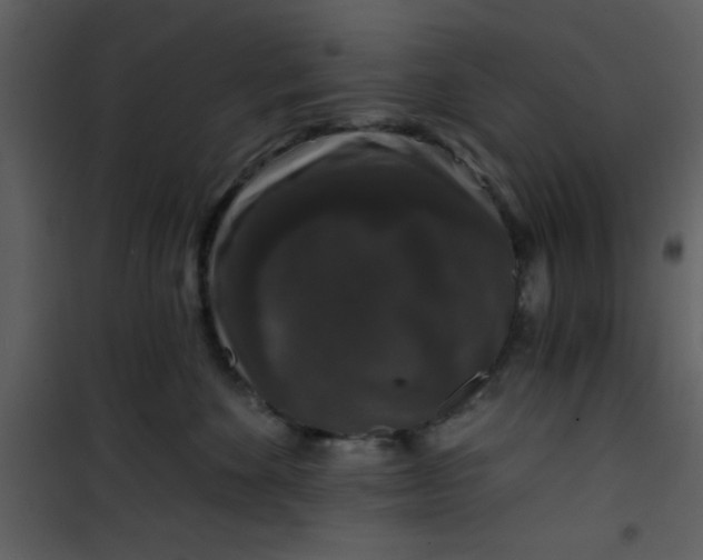 X0000101140524200807181257