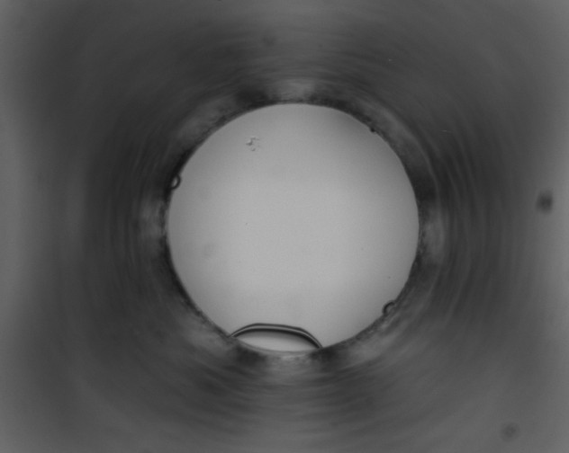 X0000101140525200807181257