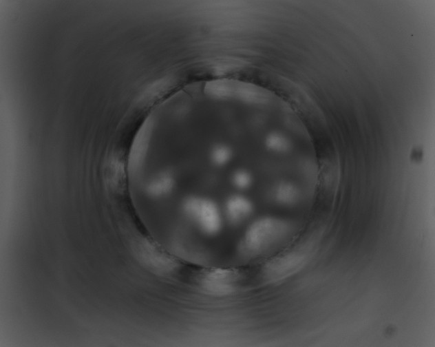 X0000101140527200807181257