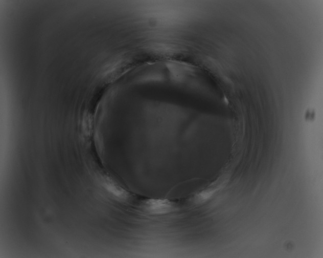 X0000101140528200807181257