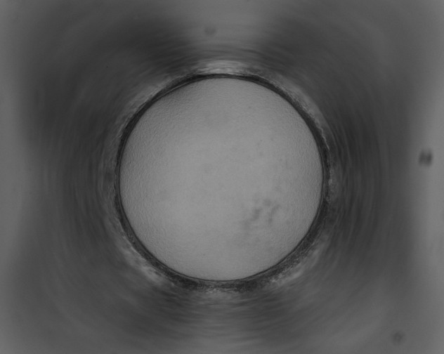 X0000101140529200807181257